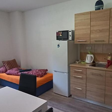 Apartman U Lebedu Apartment สตราชนี ภายนอก รูปภาพ