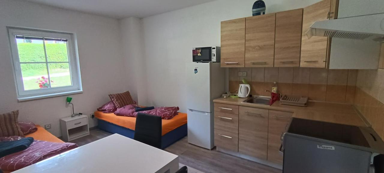 Apartman U Lebedu Apartment สตราชนี ภายนอก รูปภาพ